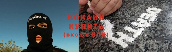 соль ск Богданович