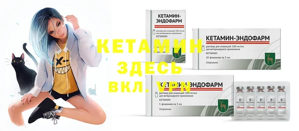 2c-b Богородицк