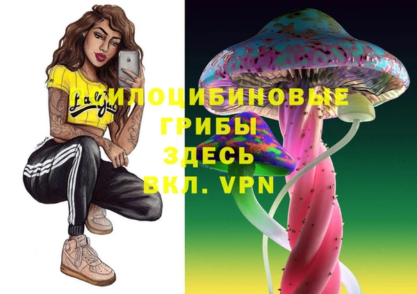 МДПВ Богородск