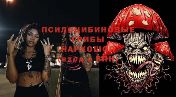 2c-b Богородицк