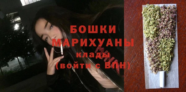 соль ск Богданович