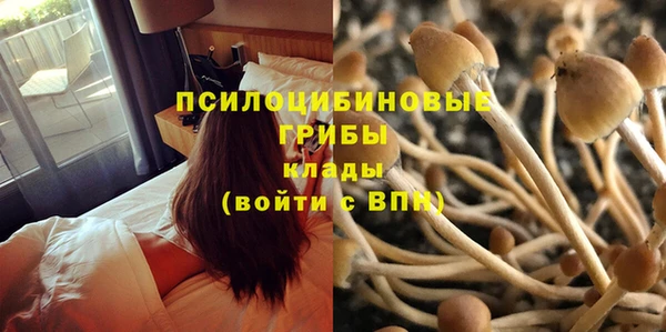 соль ск Богданович