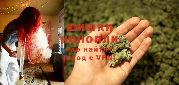 2c-b Богородицк