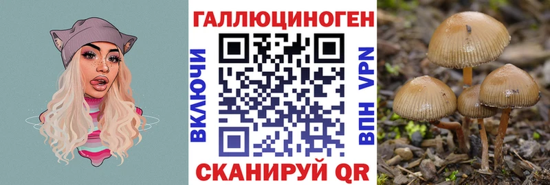 omg как войти где можно купить наркотик Бокситогорск Галлюциногенные грибы ЛСД